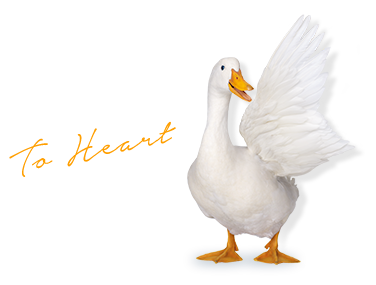To Heart